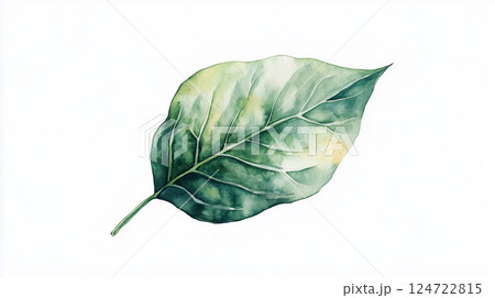 葉っぱの水彩イラストの背景 葉っぱの水彩イラストの背景 124722815
