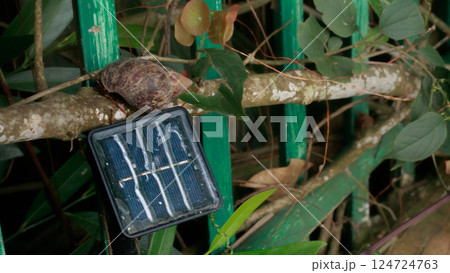 A portable solar cell panel used for powering outdoor garden lights that shows renewable energy source and sustainable solution to promote environmental preservation A portable solar cell panel used for powering outdoor garden lights that shows renewable energy source and sustainable solution to promote environmental preservation 124724763