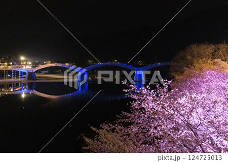 錦帯橋 満開の夜桜ライトアップ 124725013