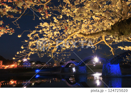 錦帯橋 満開の夜桜ライトアップ 錦帯橋 満開の夜桜ライトアップ 124725020