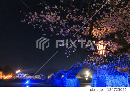 錦帯橋 満開の夜桜ライトアップ 124725025