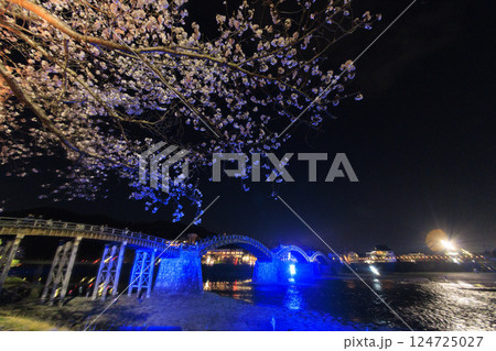 錦帯橋 満開の夜桜ライトアップ 錦帯橋 満開の夜桜ライトアップ 124725027