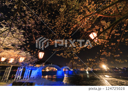 錦帯橋 満開の夜桜ライトアップ 124725028