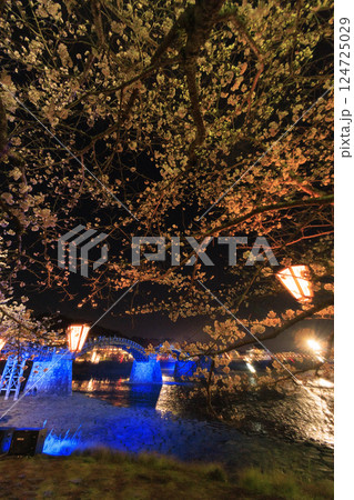 錦帯橋 満開の夜桜ライトアップ 124725029