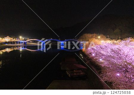 錦帯橋 満開の夜桜ライトアップ 錦帯橋 満開の夜桜ライトアップ 124725038