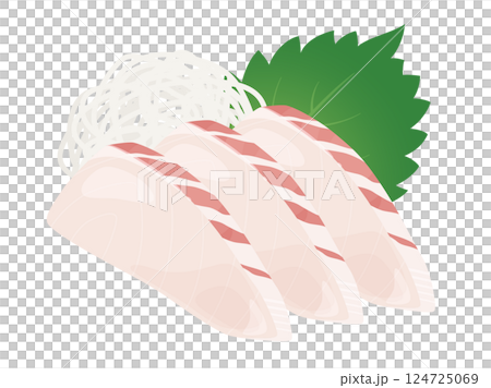 Sea bream sashimi illustration material Sea bream sashimi illustration material 124725069