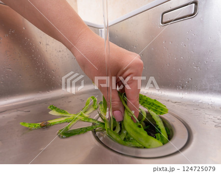 Hand pushing vegetable scraps into a kitchen sink drain with running water 124725079
