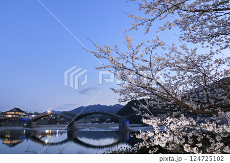 錦帯橋 満開の桜 夕刻 錦帯橋 満開の桜 夕刻 124725102
