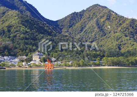 桜満開の宮島と厳島神社 桜満開の宮島と厳島神社 124725366
