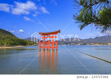 桜満開の宮島と厳島神社 桜満開の宮島と厳島神社 124725368