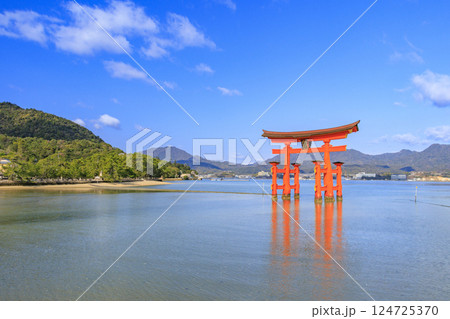 桜満開の宮島と厳島神社 124725370
