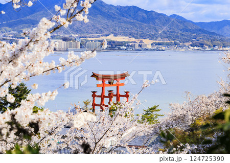 桜満開の宮島と厳島神社 桜満開の宮島と厳島神社 124725390