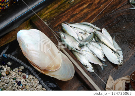 Fish, Cowrie and mussel collected from puri sea beach Fish, Cowrie and mussel collected from puri sea beach 124726063