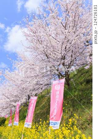 桜満開の津山城 桜満開の津山城 124726181