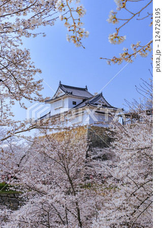 桜満開の津山城 桜満開の津山城 124726195