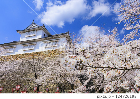 桜満開の津山城 124726198