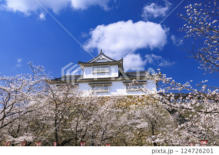 桜満開の津山城 桜満開の津山城 124726201