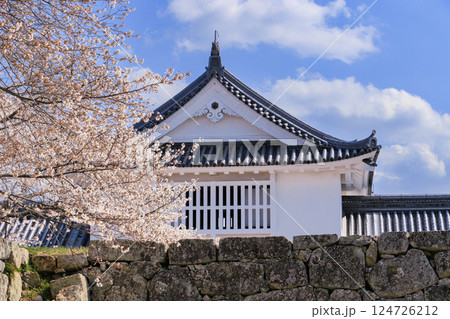 桜満開の津山城 124726212