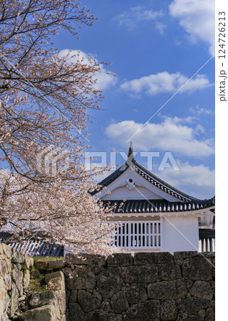 桜満開の津山城 桜満開の津山城 124726213