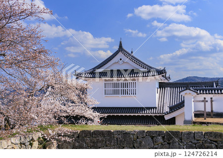 桜満開の津山城 124726214