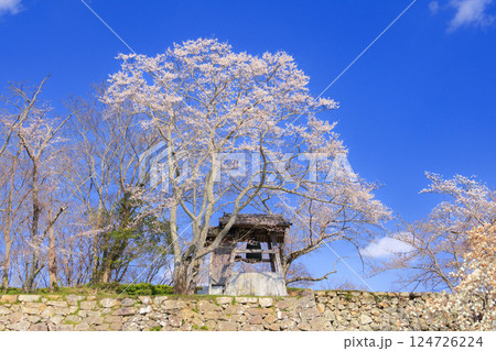桜満開の津山城 桜満開の津山城 124726224