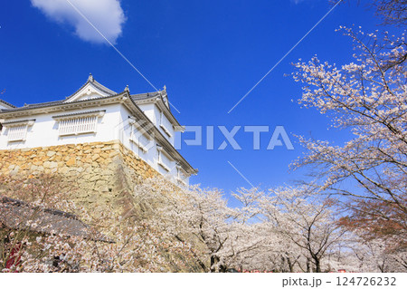 桜満開の津山城 124726232