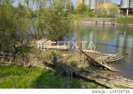 The cemetery of the Burci. The cemetery of the Burci. 124726736