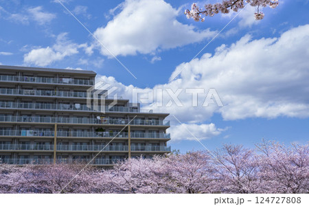 桜とマンションのある都市風景 桜とマンションのある都市風景 124727808
