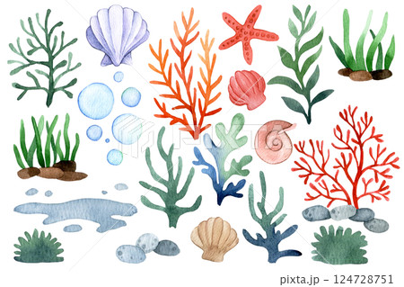 Watercolor Illustration of Sea Elements Starfish, Seashells, Coral, Seaweed, and Bubbles 124728751
