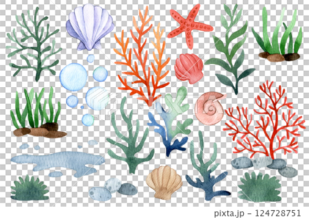 Watercolor Illustration of Sea Elements Starfish, Seashells, Coral, Seaweed, and Bubbles 124728751