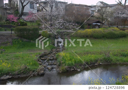 大沢の里の風景 124728896