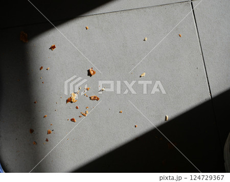 A Detailed CloseUp of Crumbs Scattered on a Tile Floor Depicted Under Natural Shadow 124729367