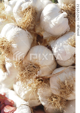 close up pf garlic on pink background, close up pf garlic on pink background, 124729532