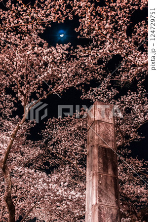 ライトアップされた夜桜 御津山園地 124729751