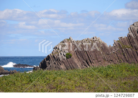 丹後半島　立岩 124729807