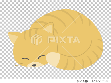 丸くなって眠る茶色い猫のイラスト 丸くなって眠る茶色い猫のイラスト 124729890