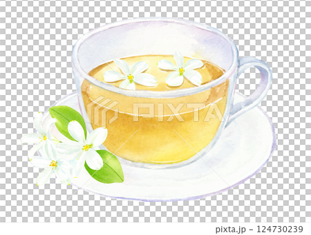 ジャスミンティーの水彩イラスト 124730239