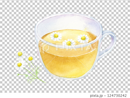 Chamomile tea watercolor illustration Chamomile tea watercolor illustration 124730242
