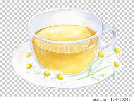 洋甘菊茶水彩插圖 洋甘菊茶水彩插圖 124730243