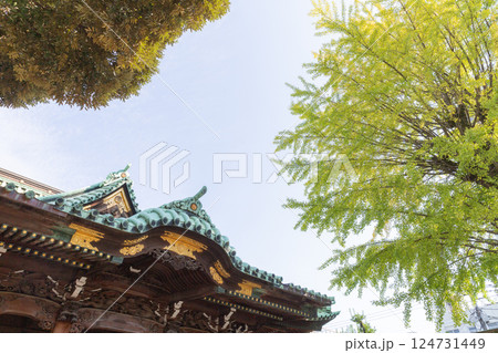 【日本】東京都墨田区の牛嶋神社の厳かな本殿の屋根と紅葉した銀杏の木と秋晴れの空 【日本】東京都墨田区の牛嶋神社の厳かな本殿の屋根と紅葉した銀杏の木と秋晴れの空 124731449