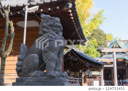 【日本】東京都墨田区の牛嶋神社境内に展示された狛犬の彫刻と少し紅葉がかった銀杏の木々 【日本】東京都墨田区の牛嶋神社境内に展示された狛犬の彫刻と少し紅葉がかった銀杏の木々 124731451