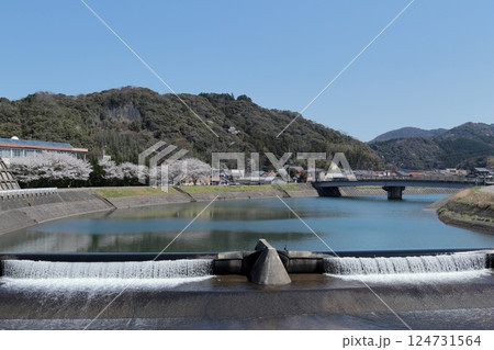 島根県益田市 春の益田川の風景 島根県益田市 春の益田川の風景 124731564