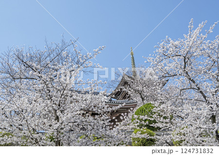 春の覚王山日泰寺 春の覚王山日泰寺 124731832