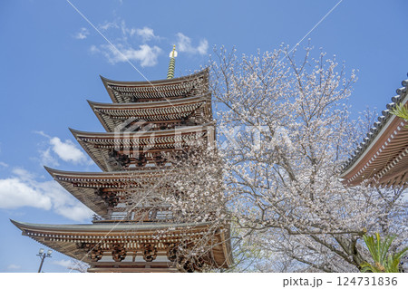 春の覚王山日泰寺 春の覚王山日泰寺 124731836