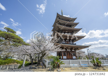 春の覚王山日泰寺 124731842