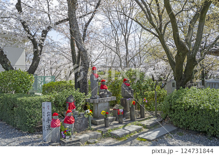 春の覚王山日泰寺 124731844