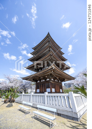 春の覚王山日泰寺 春の覚王山日泰寺 124731846