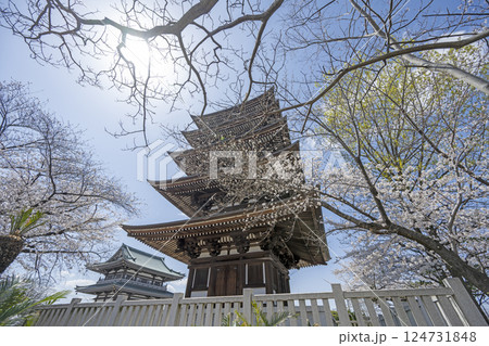 春の覚王山日泰寺 春の覚王山日泰寺 124731848