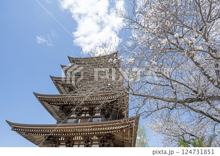 春の覚王山日泰寺 124731851