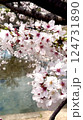 桜 124731890